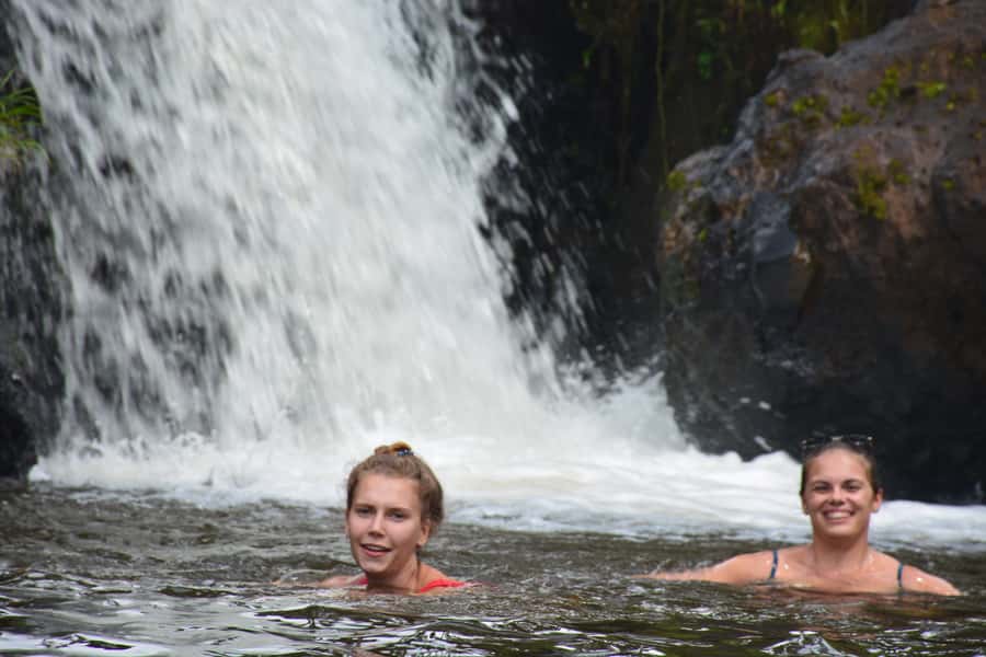 1 Day Sipi Falls Hike and Community Coffee Tour - Coffee from the Mount Elgon slopes