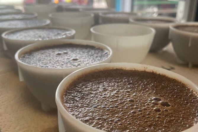2-Hour Specialty Coffee tasting in Ljubljana - Key points about this Ljubljana coffee workshop