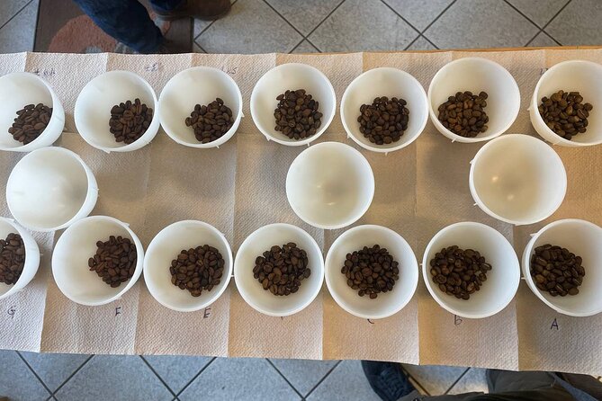 2-Hour Specialty Coffee tasting in Ljubljana - What the two-hour session is really about