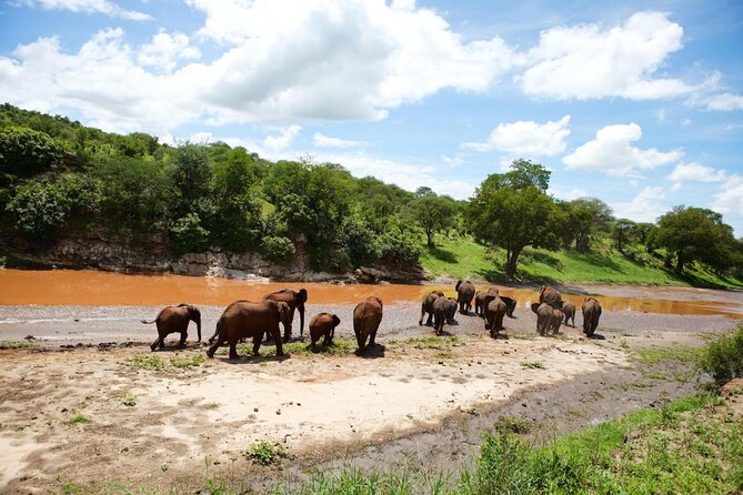 6 Days Serengeti Safari(hiking waterfalls &coffee tour) - Six things to know before you book