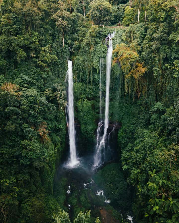 7 Hiden waterfalls and Luwak Coffee Visit - Why Sekumpul makes this a worthwhile Bali day