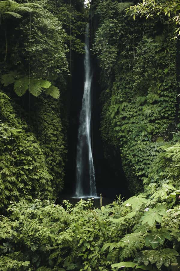 7 Hiden waterfalls and Luwak Coffee Visit - Swimming beneath the twin waterfall