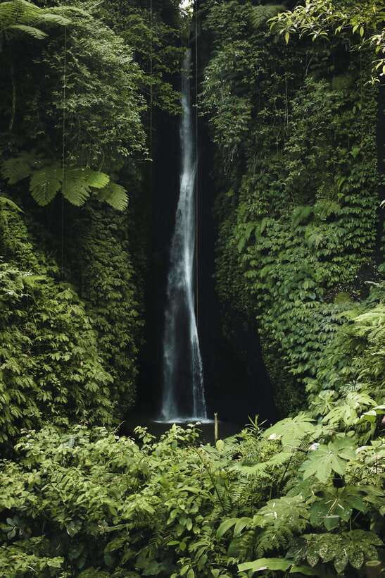7 Hiden waterfalls and Luwak Coffee Visit - Practical preparation for the waterfall walk