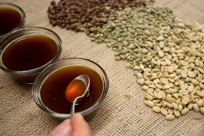 A taste of Aquiares - 2 hours Coffee Tour - Key points before you book