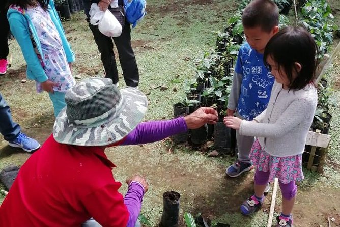 A taste of Aquiares - 2 hours Coffee Tour - Inside the beneficio and coffee mill