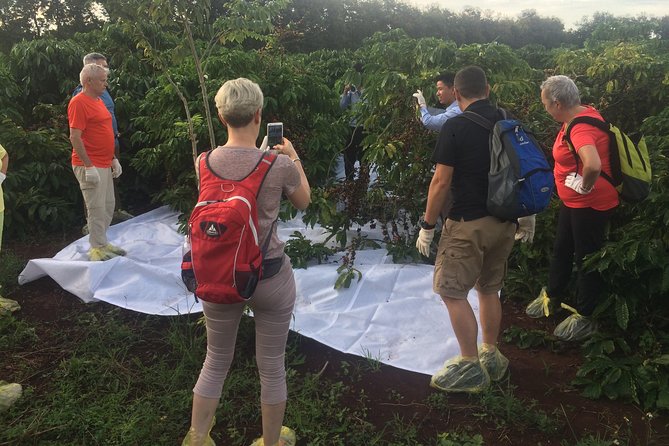 Amazing Coffee full-day tour in Buon Ma Thuot - Daklak - What the $86 price covers