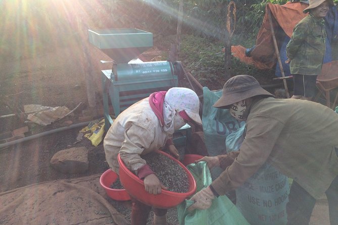 Amazing Coffee full-day tour in Buon Ma Thuot - Daklak - Who will enjoy this coffee day most