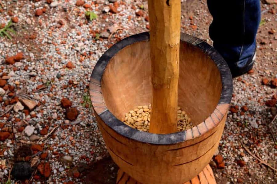 Arusha: Coffee Plantation Tour with Tasting and Hands-On … - Walking through the coffee plantation