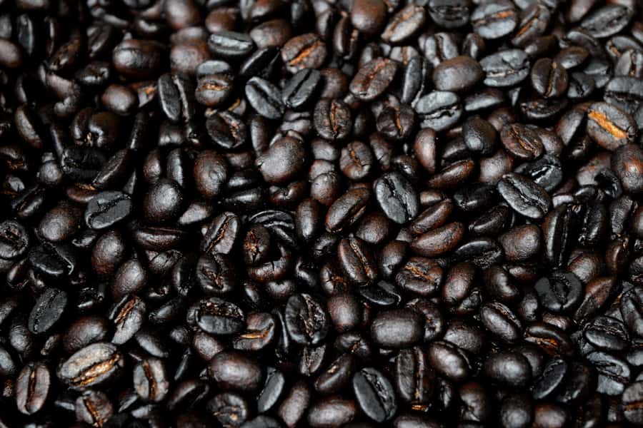 Arusha: Coffee Tour - The freshest cup is the one you helped make