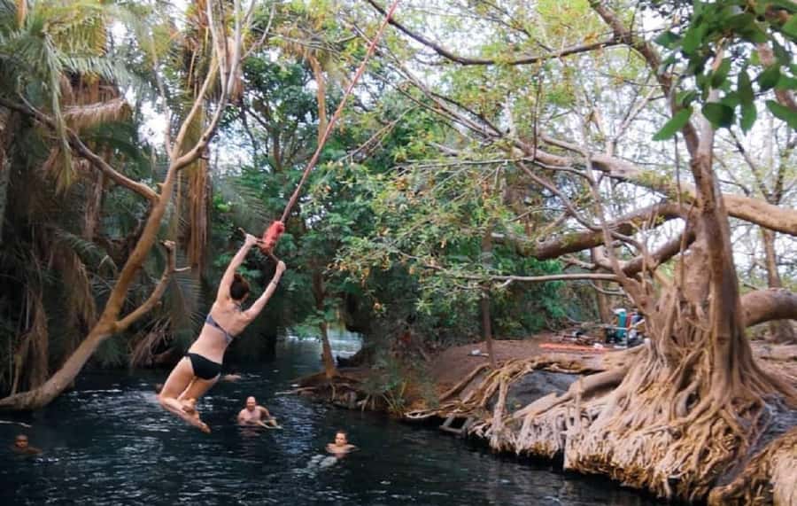 Arusha: Materuni Waterfalls, Coffee, and Hotsprings Tour - Key points before you book