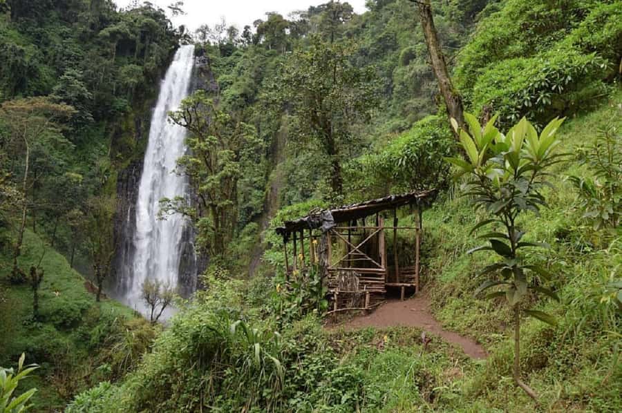 Arusha: Materuni Waterfalls, Coffee, and Hotsprings Tour - Coffee in Materuni gives the day its local character