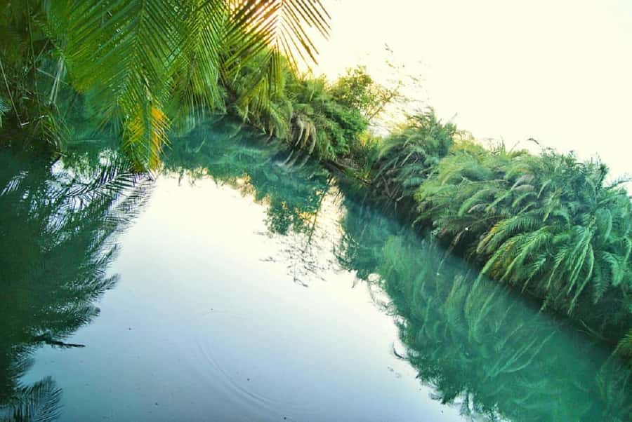 Arusha: Materuni Waterfalls, Coffee, and Hotsprings Tour - Who will enjoy this day most
