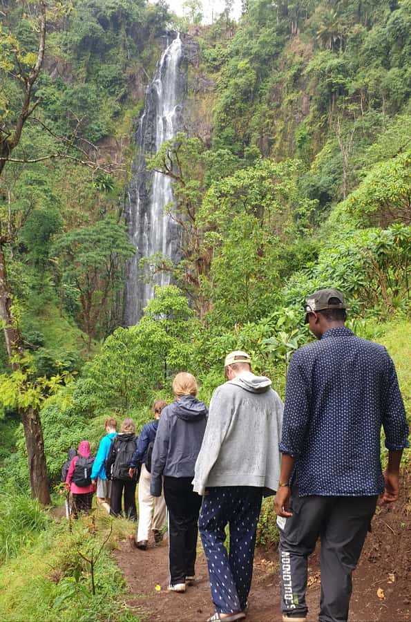 Arusha: Materuni Waterfalls, Hot Springs and/or Coffee Tour - Key points before you book