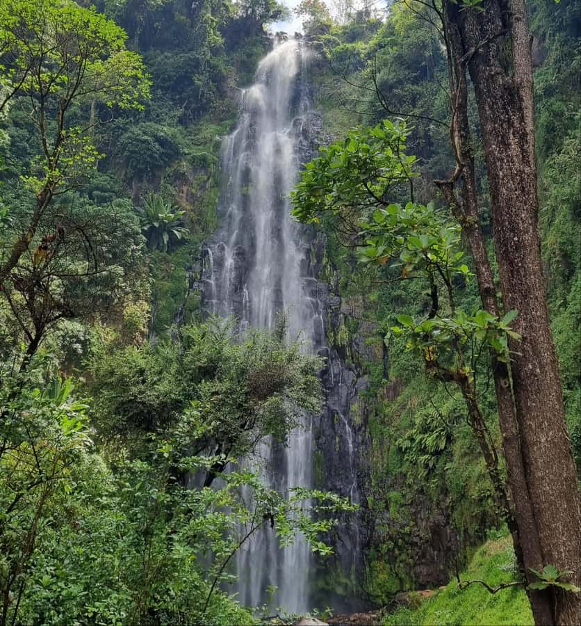 Arusha: Materuni Waterfalls, Hot Springs and/or Coffee Tour - Why this day trip works so well