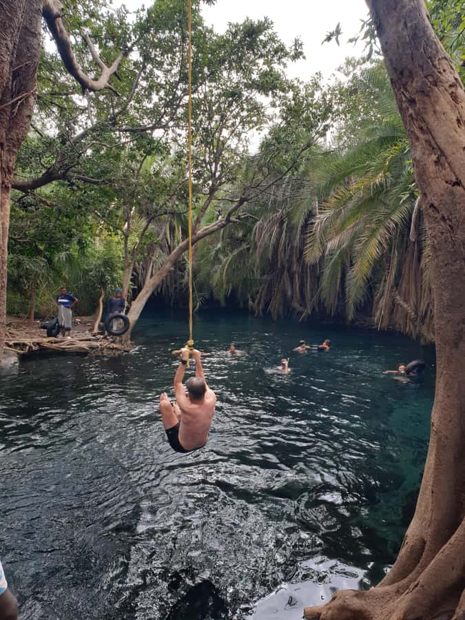 Arusha: Materuni Waterfalls, Hot Springs and/or Coffee Tour - A Tanzanian lunch with local flavor