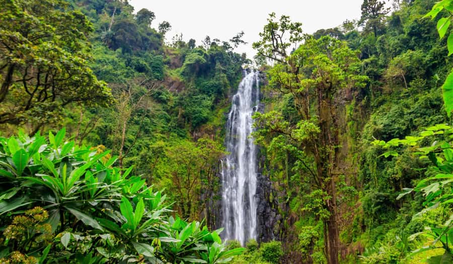 Arusha: Materuni Waterfalls, Hot Springs and/or Coffee Tour - Relaxing at Chemka, or Kikuletwa, Hot Springs