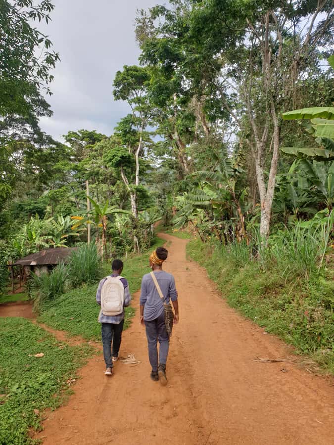 Arusha: Materuni Waterfalls, Hot Springs and/or Coffee Tour - Is $53 good value?