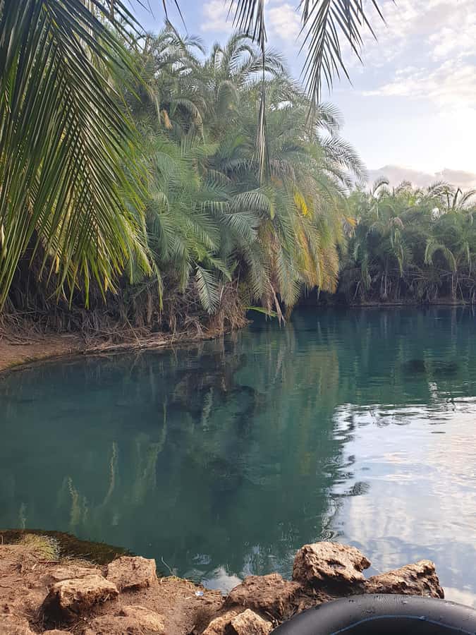 Arusha: Materuni Waterfalls, Hot Springs and/or Coffee Tour - Who should book this experience?