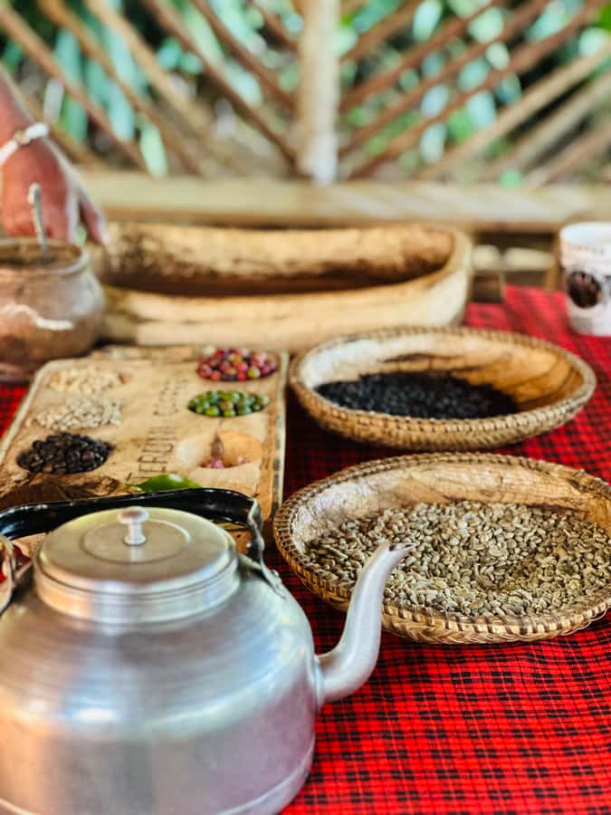Arusha: Materuni Waterfalls, Hot Springs and/or Coffee Tour - Practical tips for a better day