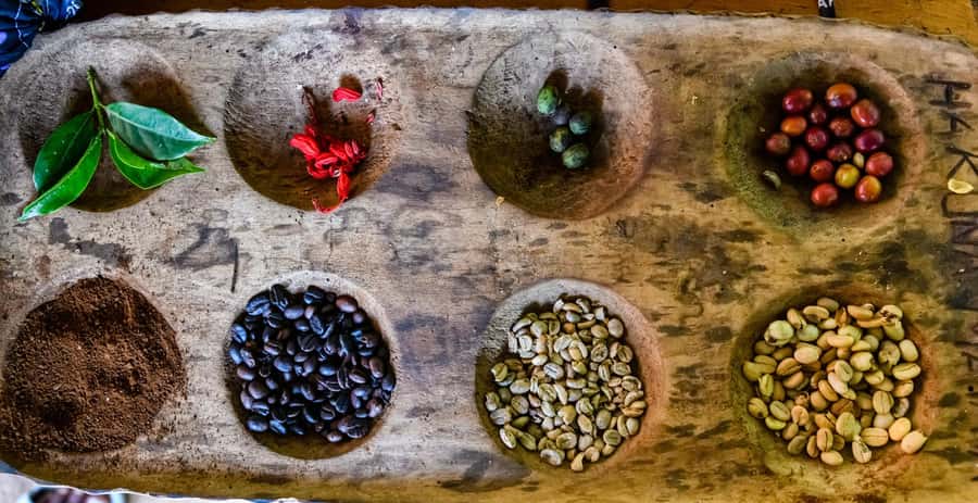 Arusha: Traditional Coffee Preparation(coffee tour) - A private garden becomes the coffee workshop