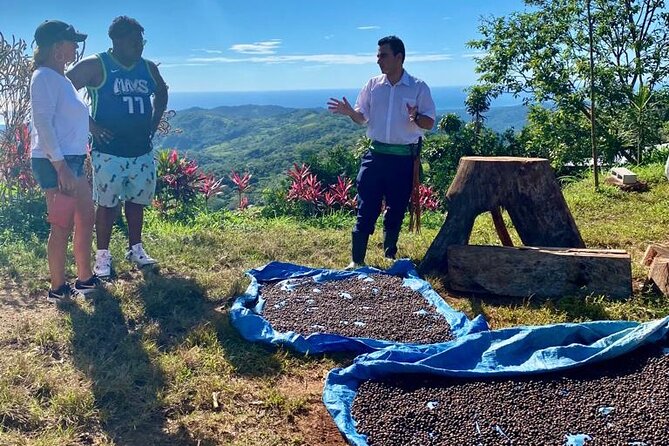 ATV Waterfall & Organic Coffee Farm with Lunch - Is $195 a Fair Price?