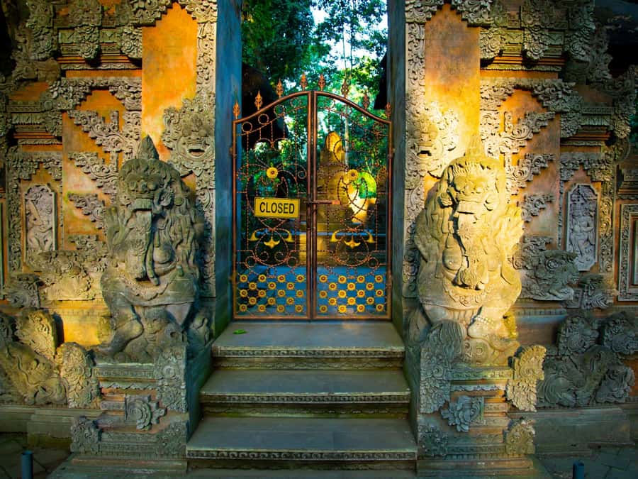 Bali: Jatiluwih Rice Terraces, Sangeh Forest & Coffee Tour - Key points to know before booking