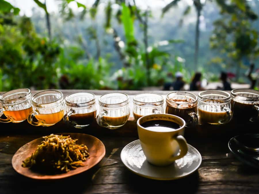 Bali: Jatiluwih Rice Terraces, Sangeh Forest & Coffee Tour - Final verdict: a strong choice for Bali’s quieter side