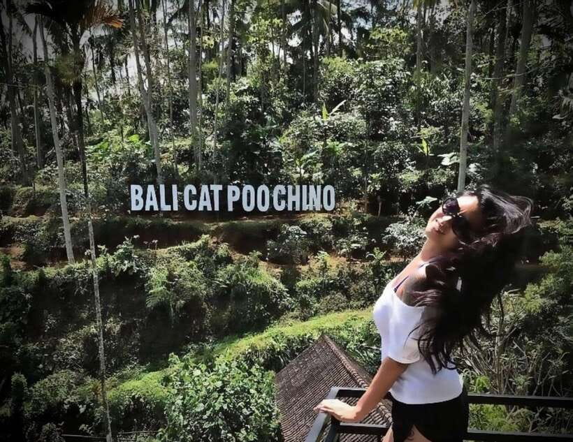 Bali: Ubud Monkey Forest, Coffee Plantation, and Market Tour - What the driver and guide add
