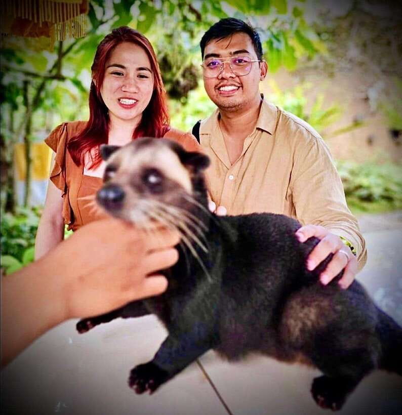 Bali: Ubud Monkey Forest, Coffee Plantation, and Market Tour - Is $42 good value?