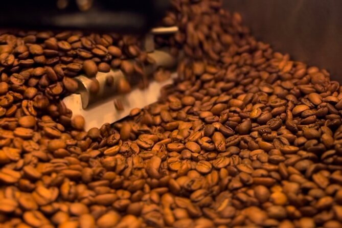 Behind The Scenes Of The Coffee Roasting Process 101 - Starting With Beans, Farms, and Processing