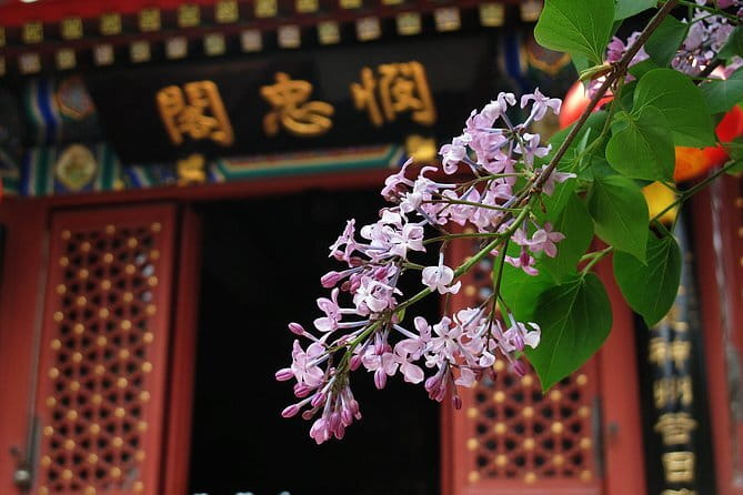 Beijing Hutong Breakfast & Coffee Tour - Zhihua Temple, murals, and the chance of temple music