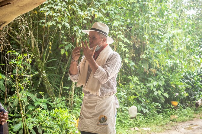 Best Coffee Tour from Medellin with Lunch and Transportation - Why this coffee outing works well from Medellín