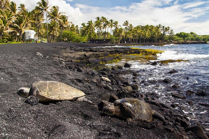 Big Island Highlights: Coffee, Volcano, Black Sands & Waterfall - Five details that shape the day