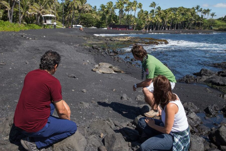 Big Island: Volcanoes, Waterfalls, & Coffee Farm Day-Trip - Big Island highlights at a glance