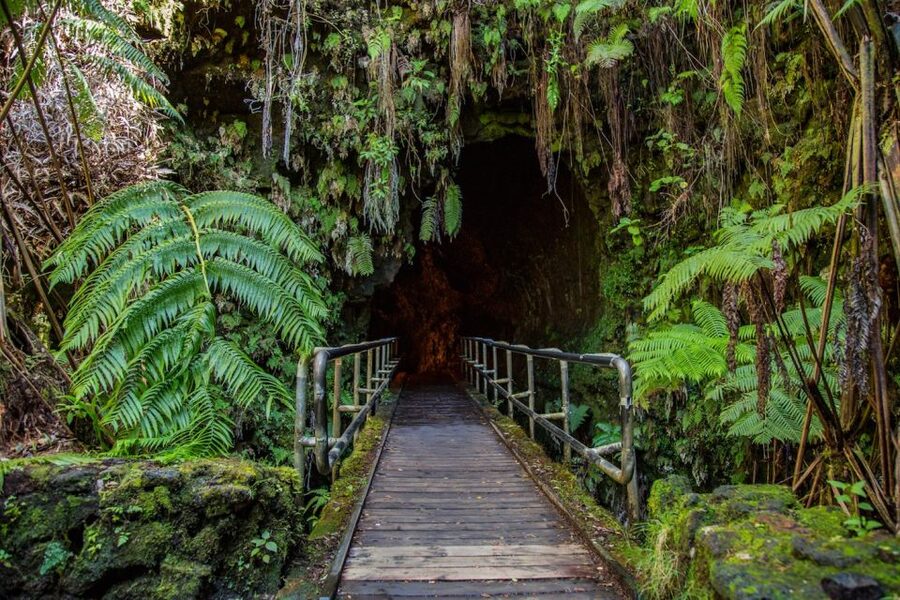 Big Island: Volcanoes, Waterfalls, & Coffee Farm Day-Trip - The long return through South Point and Kealakekua Bay