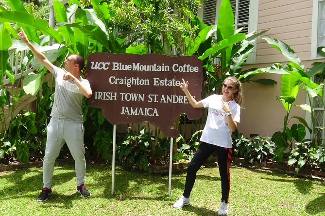 Blue Mountain Coffee and Sightseeing Tour - Who will enjoy this Blue Mountain outing?