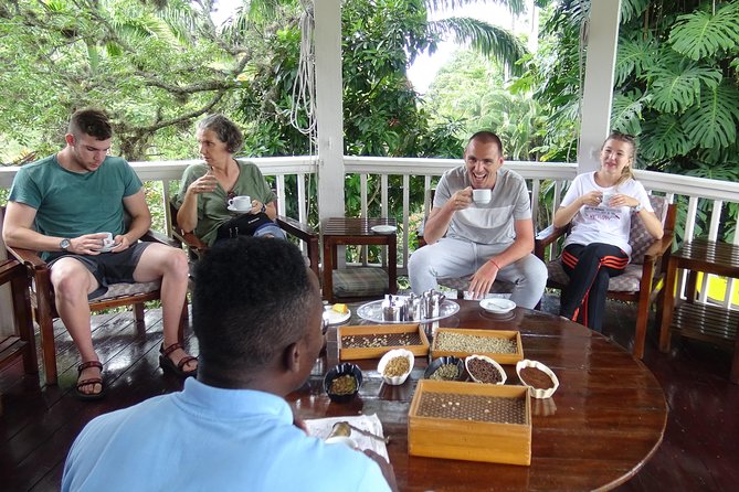 Blue Mountain Coffee and Sightseeing Tour - Blue Mountain National Park and the coffee-growing country