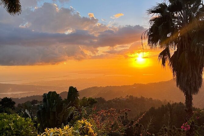 Blue Mountain Coffee, Bob Marley and Art Tour from Montego Bay - Jamaican National Gallery: art from the 1920s onward