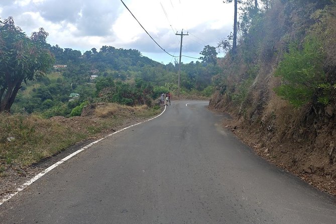 Blue Mountains Coffee Private Tour from Kingston - A private car changes the pace