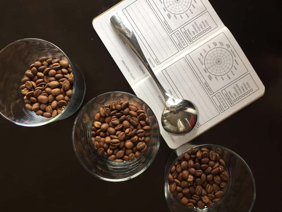 Bogotá: Experience of a coffee competition - What happens during the 150-minute workshop