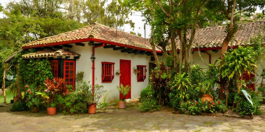 Bogotá: Guided Coffee Tour with Lunch, and Pickup & Drop-Off - Learning how coffee grows
