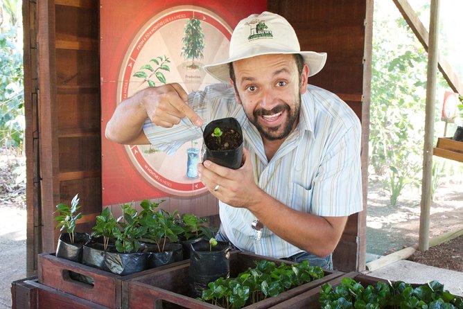 Britt Coffee Tour from San José - Why this short San José coffee tour works