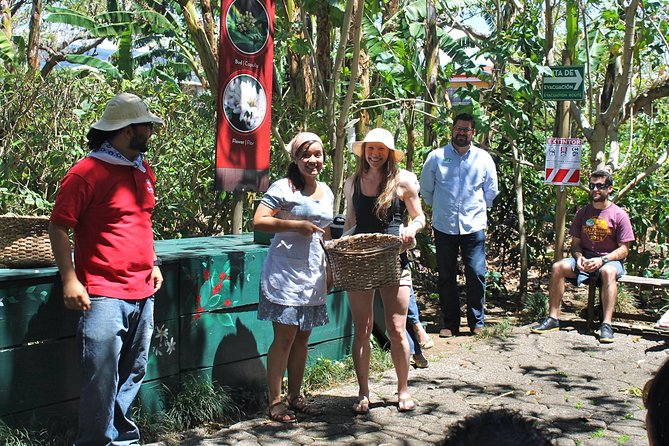 Britt Coffee Tour from San José - Transportation from San José and the real time commitment