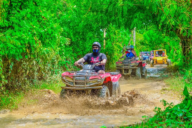 Buggy Ride Into the jungle with cave coffee & chocolate tasting - Handling the shopping stops with less stress