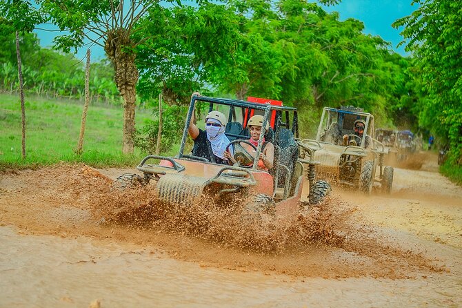 Buggy Ride Into the jungle with cave coffee & chocolate tasting - The coffee, chocolate, and Dominican product stop