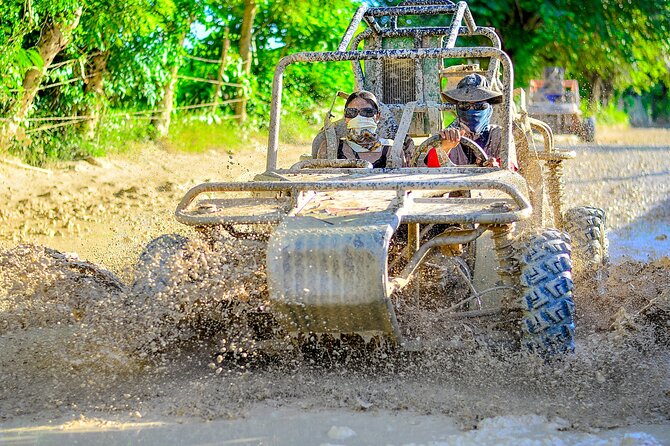 Buggy Ride with Cenote Coffee and Chocolate Tasting - Five things to know before you book
