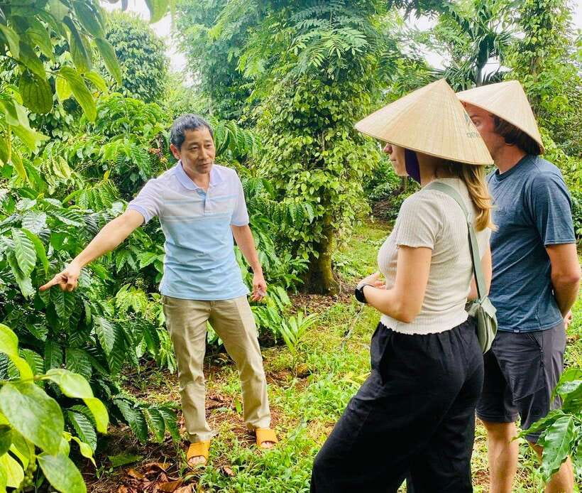 Buon Ma Thuot: Bean to Brew Coffee Farm Tour with Tasting - Walking through the coffee garden