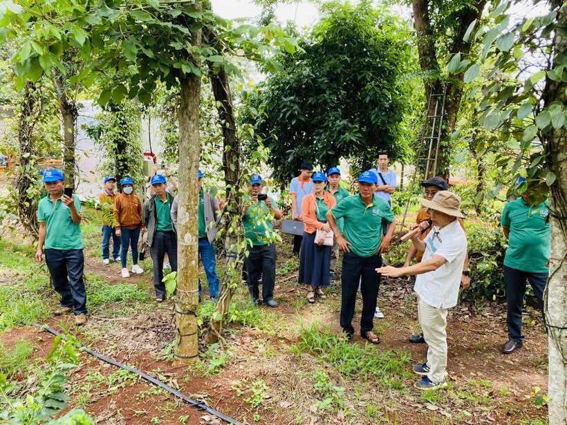 Buon Ma Thuot: Bean to Brew Coffee Farm Tour with Tasting - How much value do you get for $18?