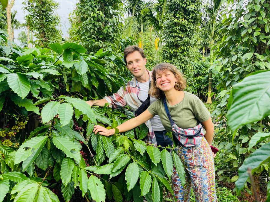 Buon Ma Thuot: Coffee Farm Tour (Bean to Brew) with Pickup - Walking among Arabica and Robusta trees