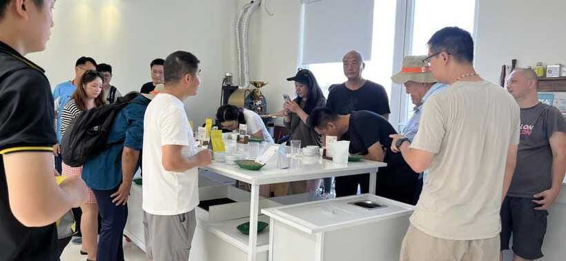 Buon Ma Thuot: Specialty Coffee Tour and Brewing Experience - Accessibility, Language, and Booking Flexibility